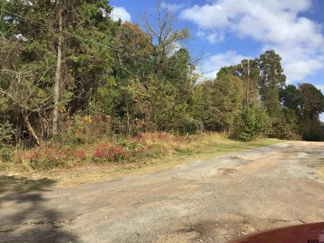 a view of beach and covered with trees
