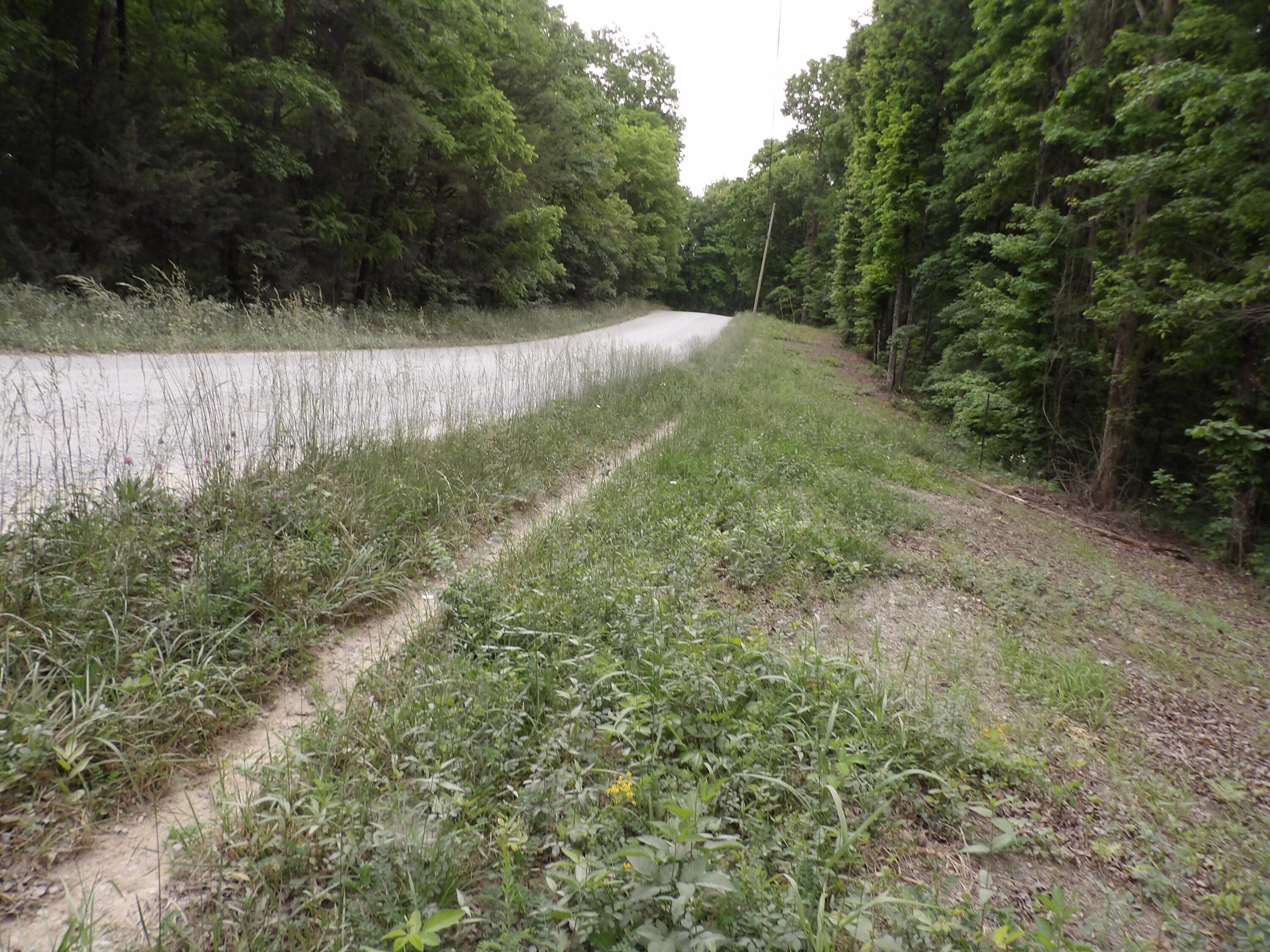 0 Ridge Road West Crossville, TN 38572 - Photo 4 of 10 100_2492