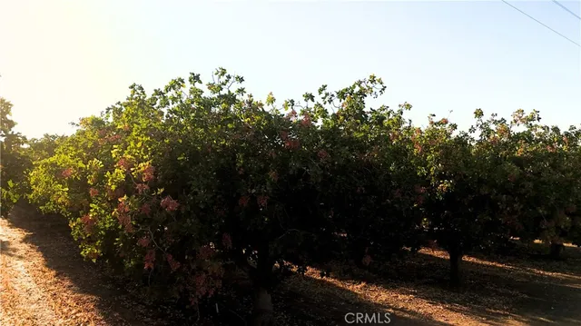 a view of a terrace with a bench