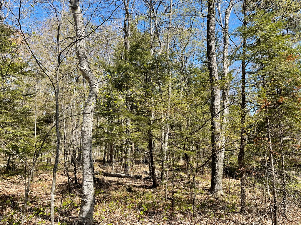 Tbd Northern Door Road Ellison Bay, WI 54210 - Photo 15 of 15