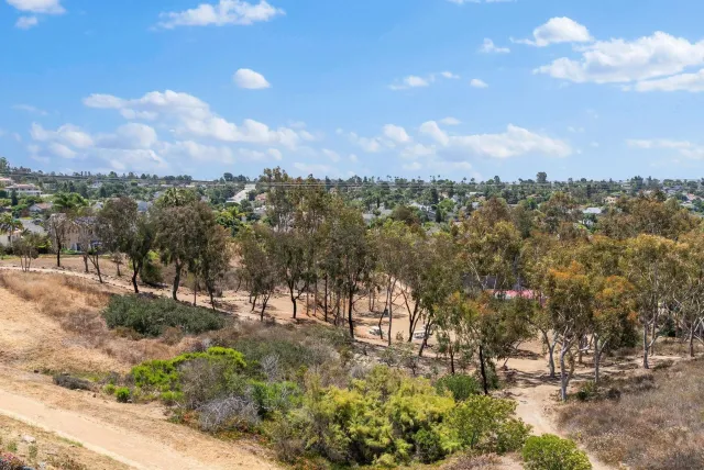 a view of a city with lush green forest