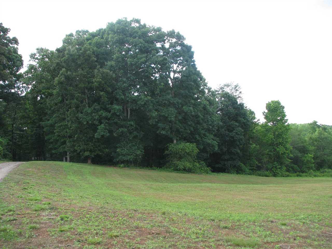 301 Mintz Farm Road Gaffney, SC 29341 - Photo 4 of 24 Gallery Image 4