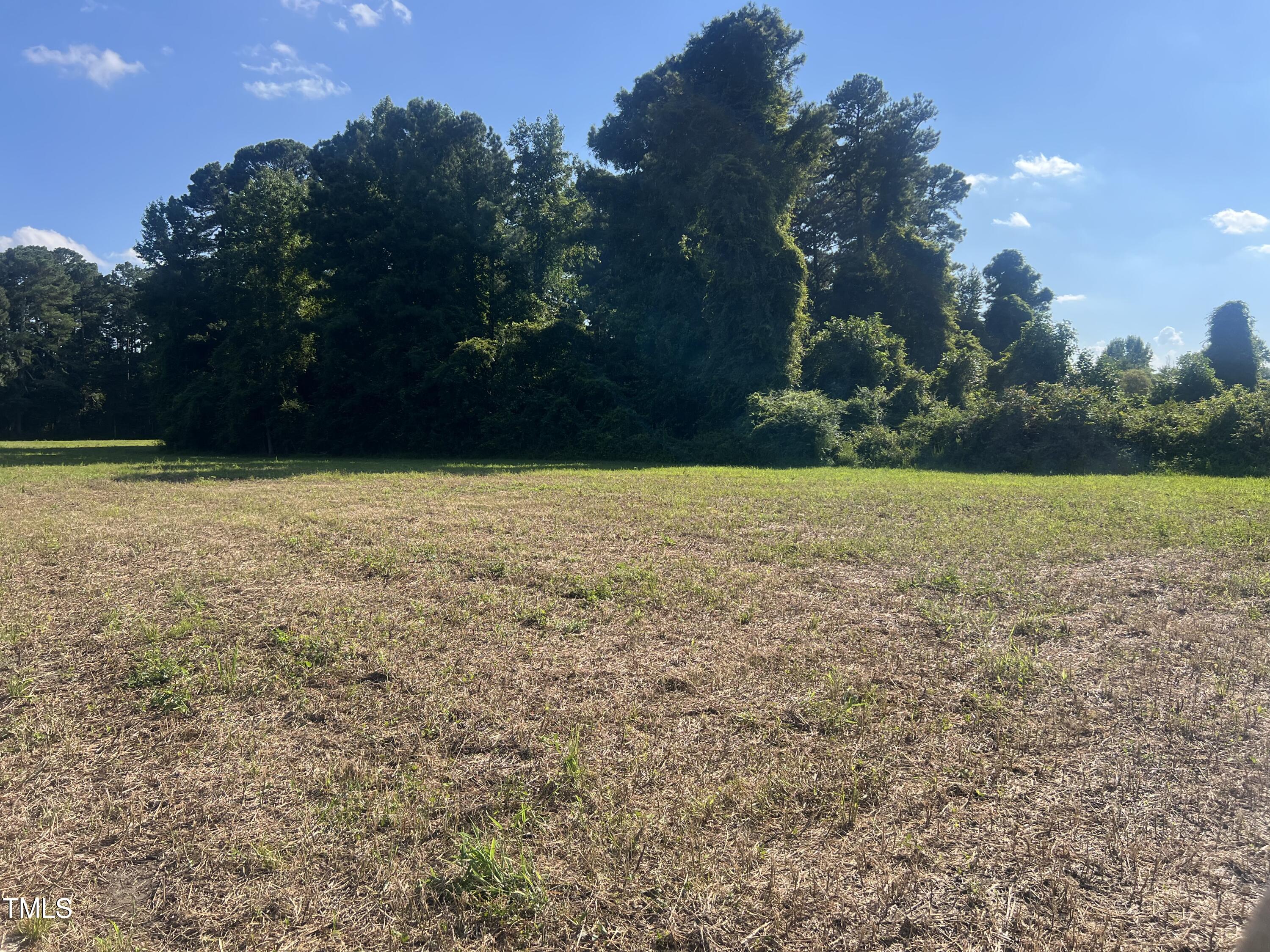 220 Brinkley Road Dunn, NC 28334 - Photo 13 of 13 IMG_5206