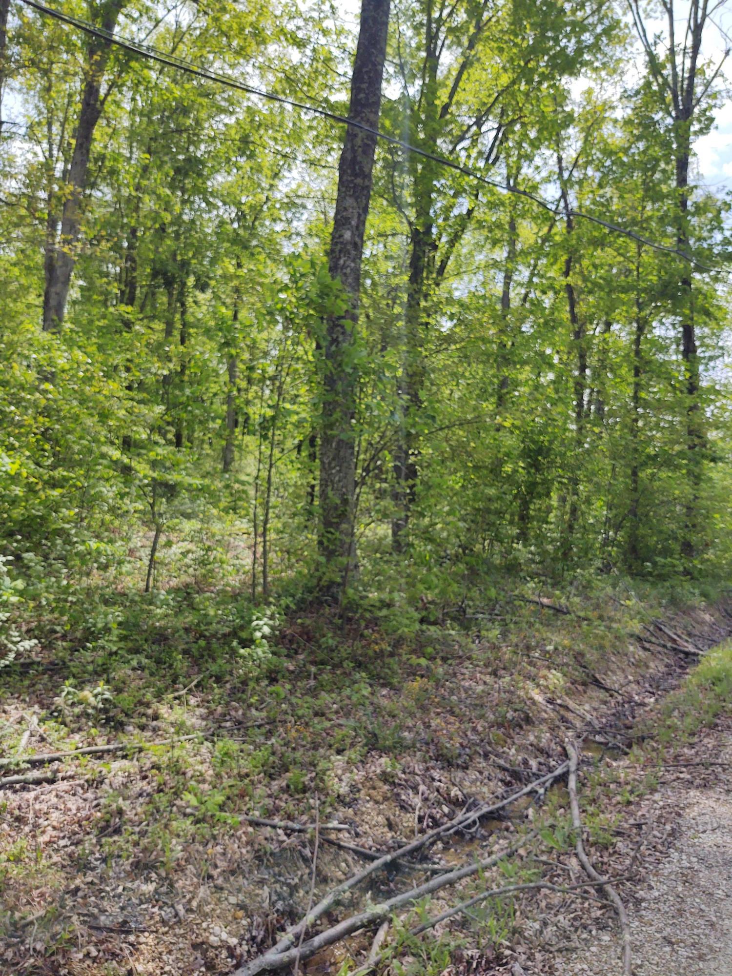 0 Darrell Randall Road, Unit LOT # 12 Stanton, KY 40380 - Photo 2 of 8 IMG_20210504_151933213