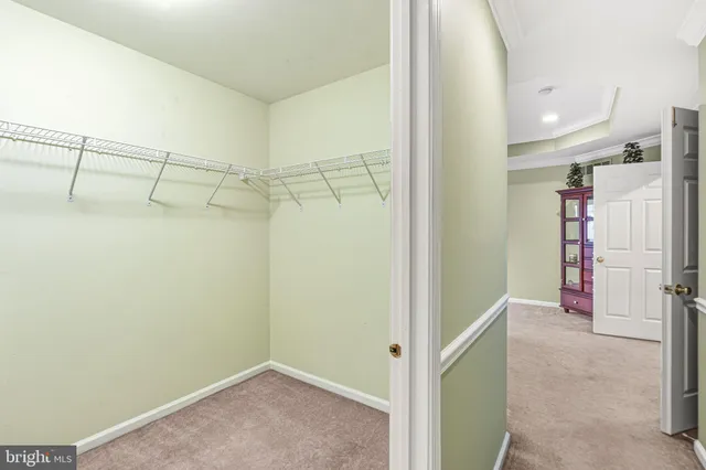 a view of walk in closet with empty racks