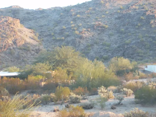 a view of a big yard of the house