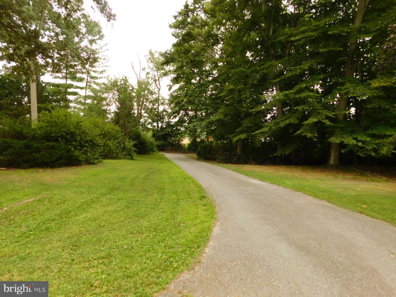 575 Deans Bank Road North East, MD 21901 - Photo 7 of 97 Gallery Image 7