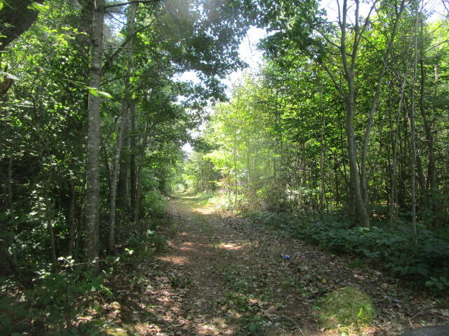 0 Finson Road Bangor, ME 04401 - Photo 5 of 6 IMG_4049