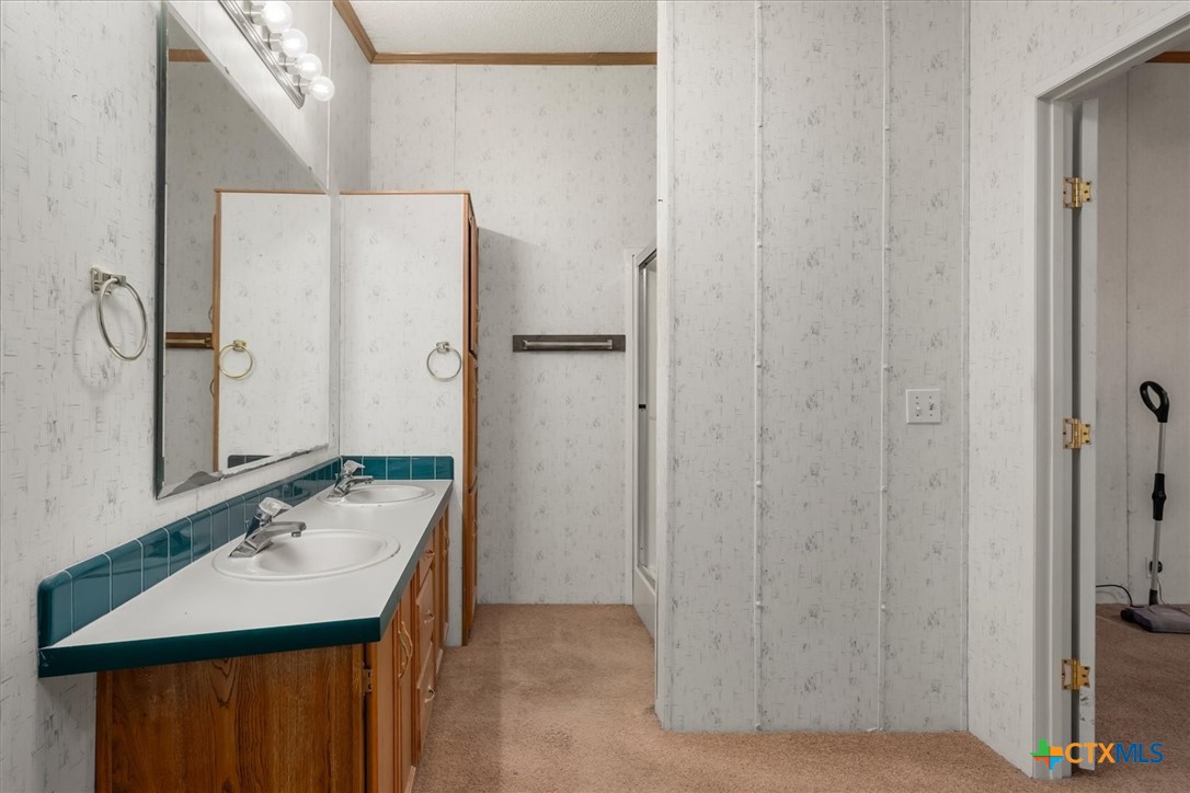 14858 Farm To Market Road 1322 Luling, TX 78648 - Photo 11 of 40 a bathroom with a sink a mirror and a shower