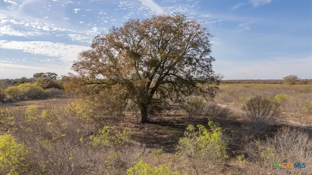 a view of an outdoor space with seating area