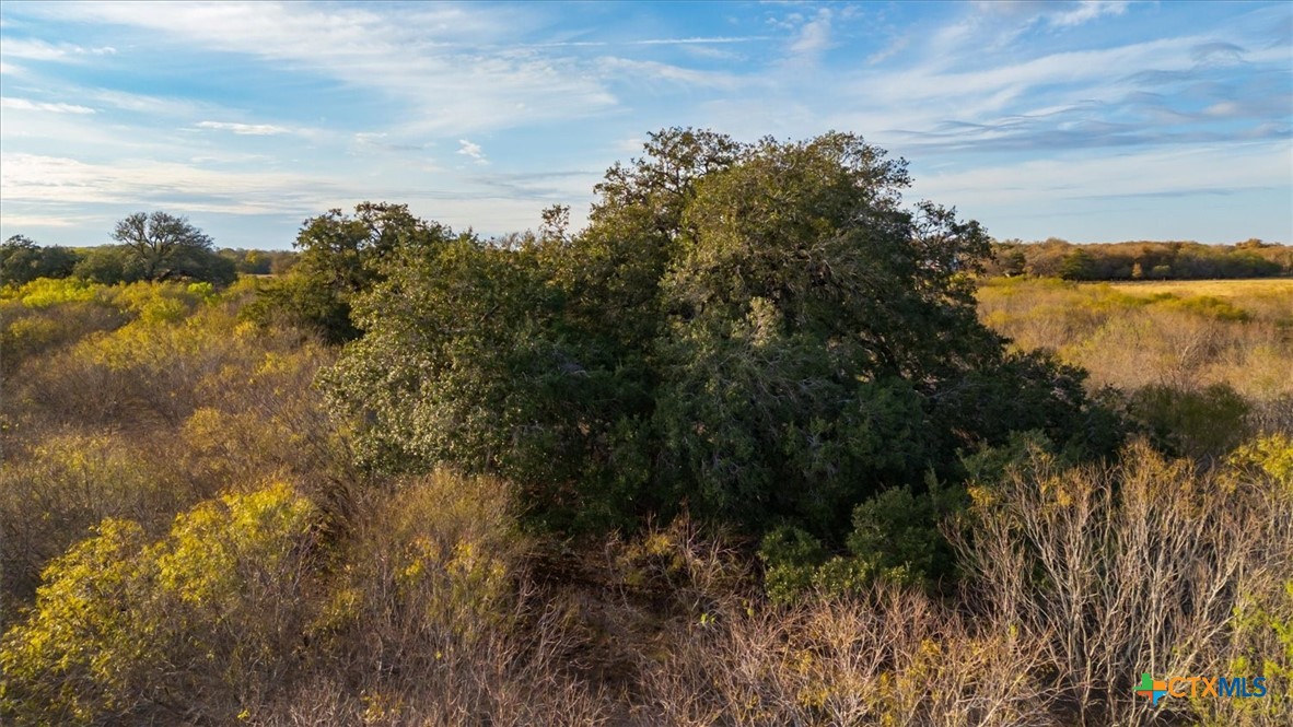14858 Farm To Market Road 1322 Luling, TX 78648 - Photo 25 of 40
