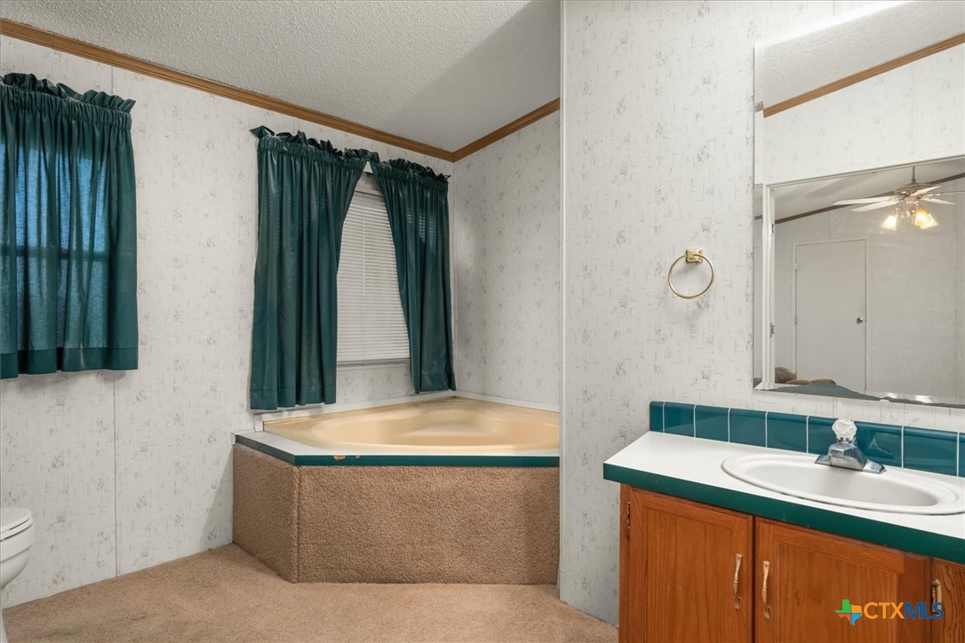 14858 Farm To Market Road 1322 Luling, TX 78648 - Photo 10 of 40 a bathroom with a tub sink and mirror