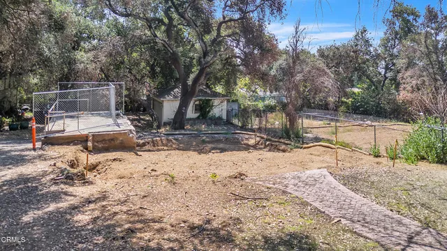 a view of a trees with a tree