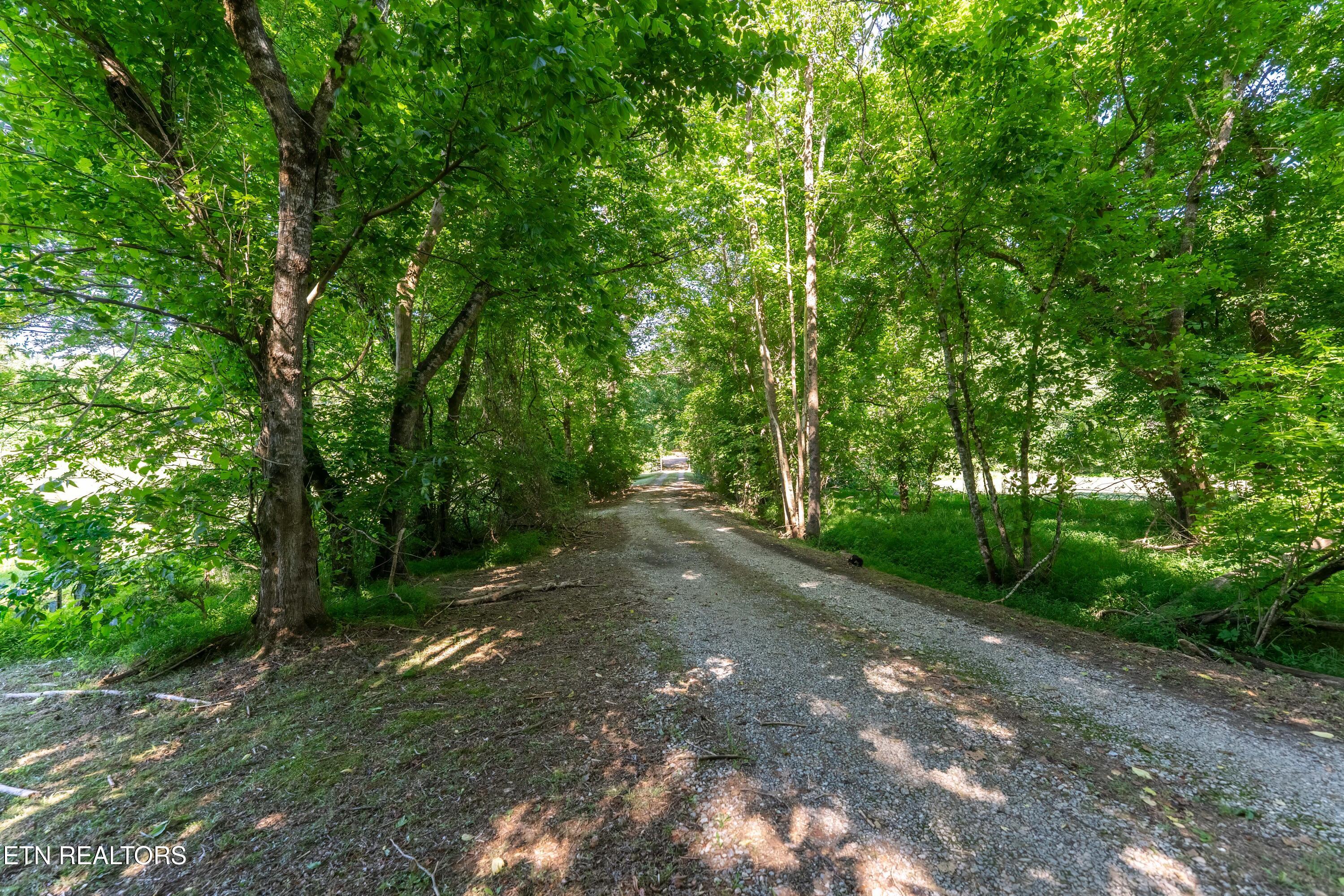 1921 Sockless Road Dandridge, TN 37725 - Photo 16 of 17 _DSC3853-HDR-Edit