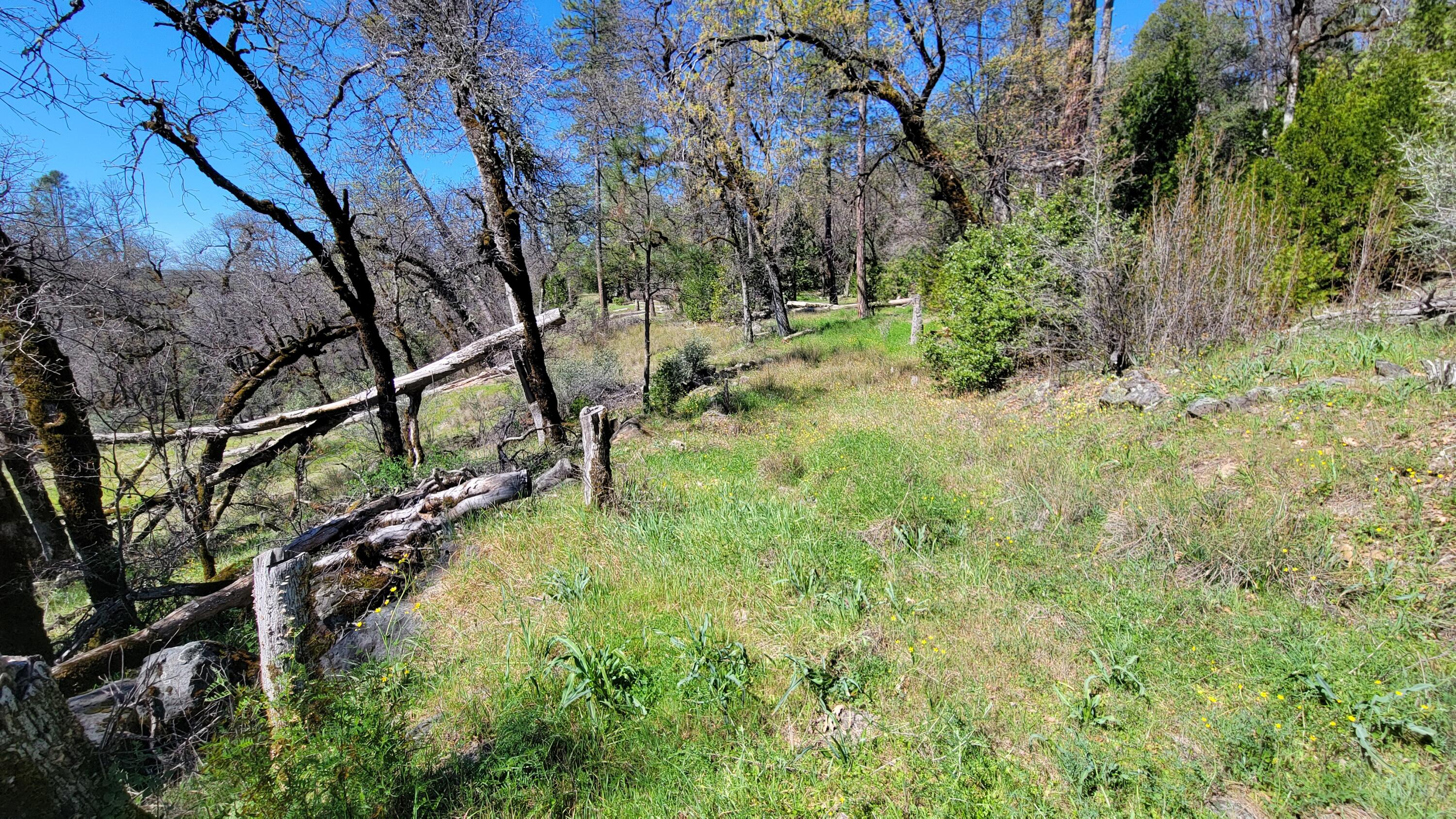 0 Jacey's Tract Road Oak Run, CA 96069 - Photo 21 of 35 20260317_123851