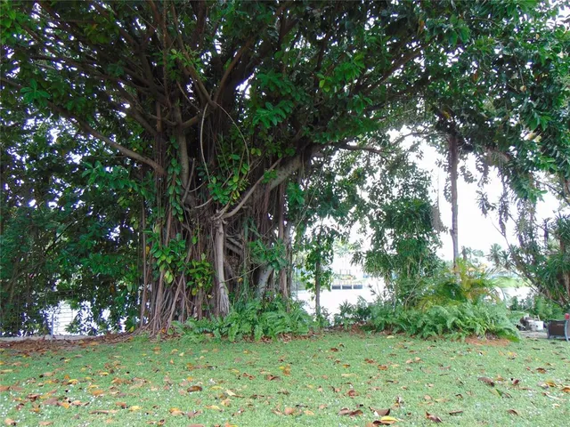 a view of a backyard