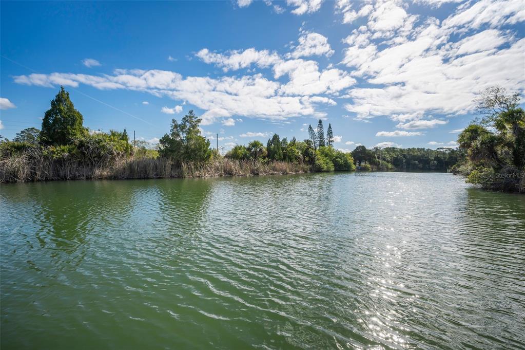 3244 Rose Arbor Drive Hernando Beach, FL 34607 - Photo 56 of 82