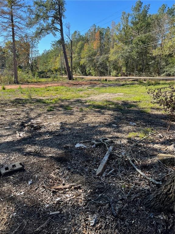 30972 Pea Ridge Road Albany, LA 70711 - Photo 1 of 4