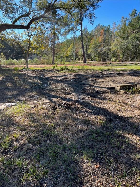 30972 Pea Ridge Road Albany, LA 70711 - Photo 3 of 4