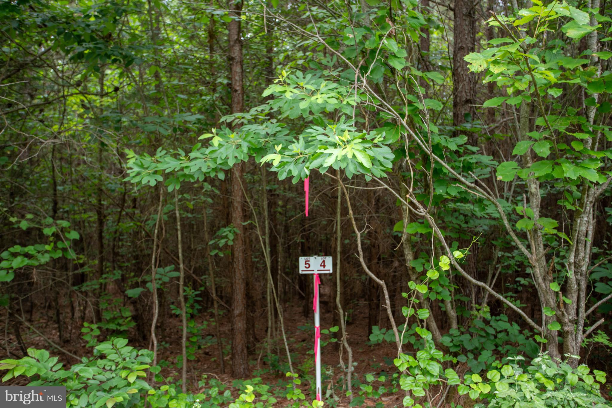 Tbd Trents Cemetery Road, Unit LOT 6 Phenix, VA 23959 - Photo 11 of 19