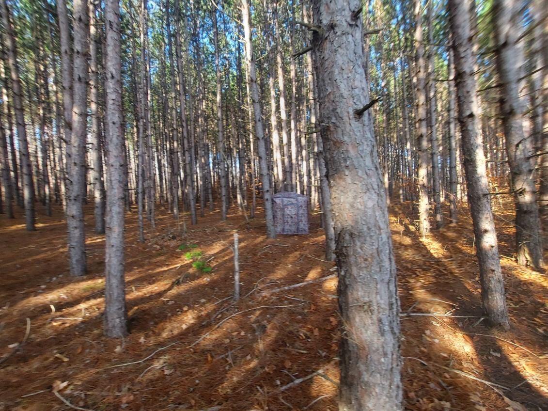 North Sherman Road Frederic, MI 49733 - Photo 19 of 22