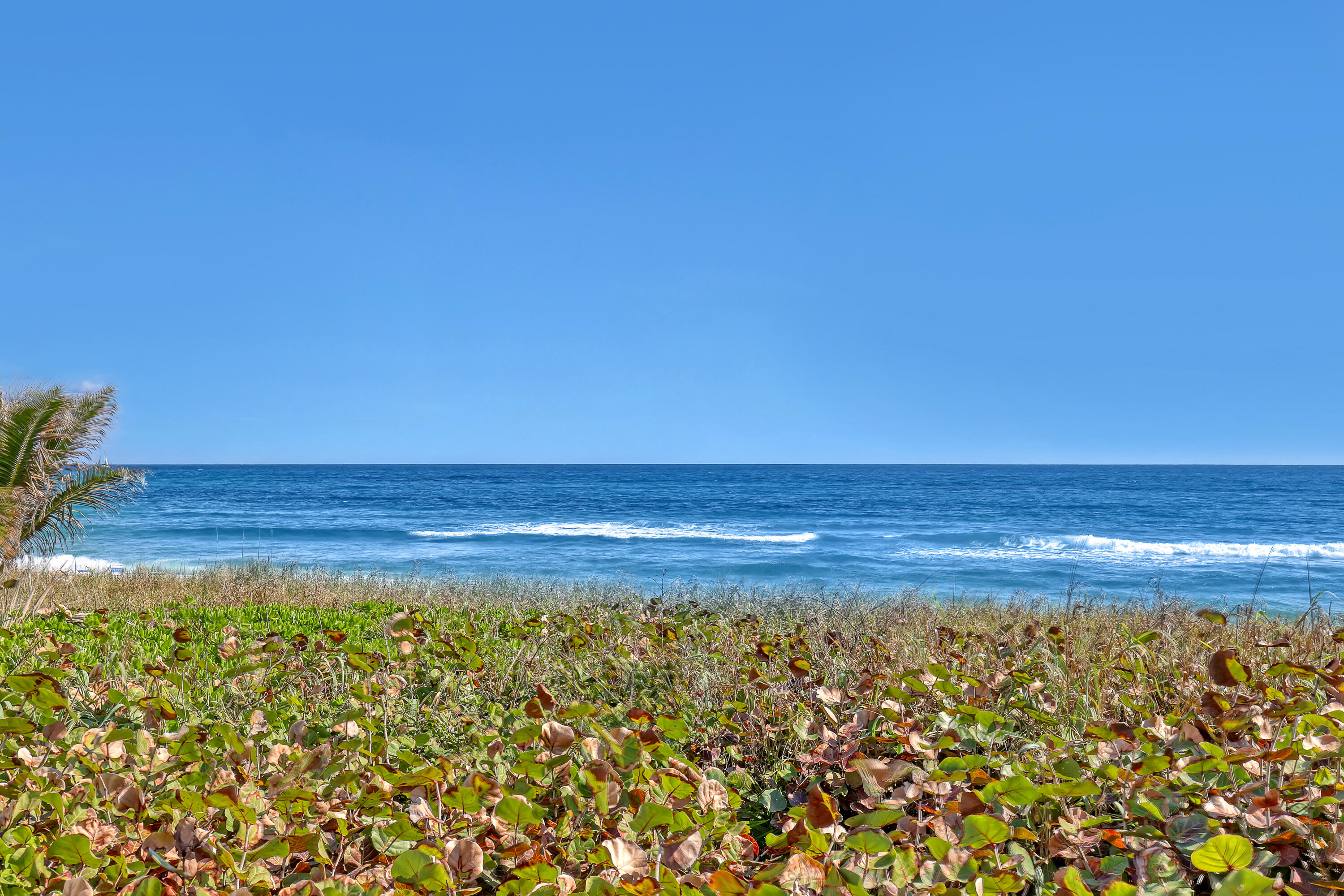 3301 South Ocean Boulevard, Unit 403 Highland Beach, FL 33487 - Photo 31 of 51 Ocean views