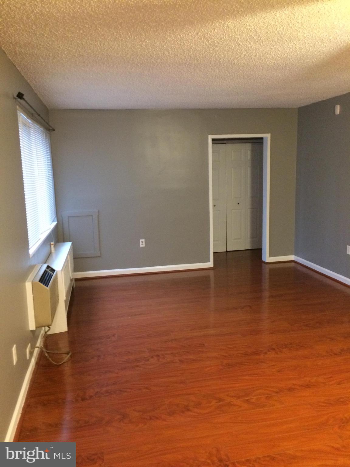 4721 1st Street Southwest, Unit 101 Washington, DC 20032 - Photo 9 of 12 a view of an empty room with wooden floor and a window