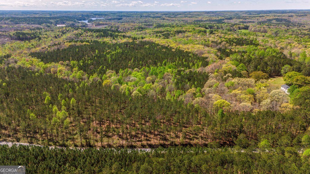 Tract 9 Horsley Mill Road Carrollton, GA 30116 - Photo 2 of 2