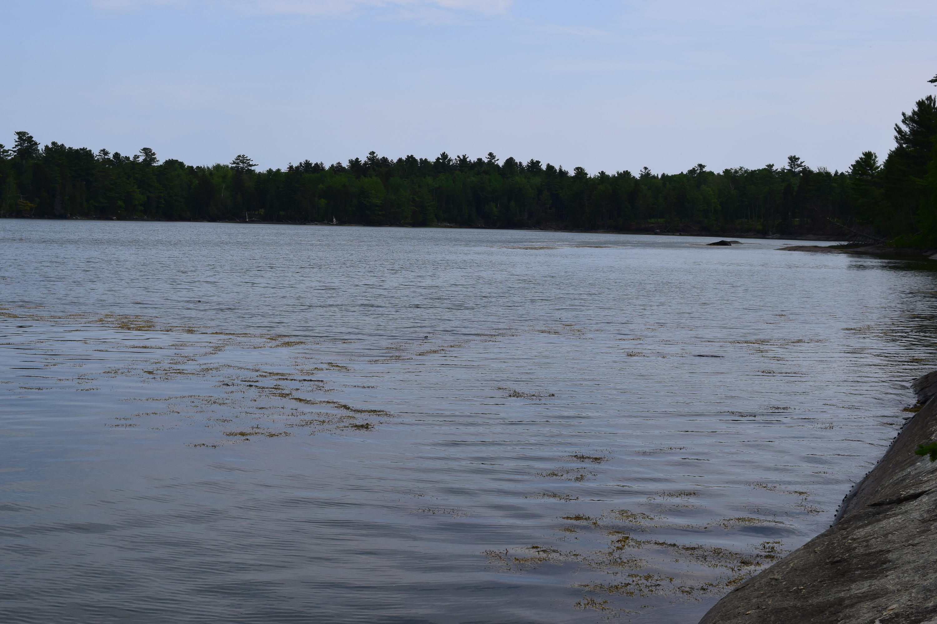 2 Landing Road Road South Hancock, ME 04640 - Photo 5 of 10 DSC_0339