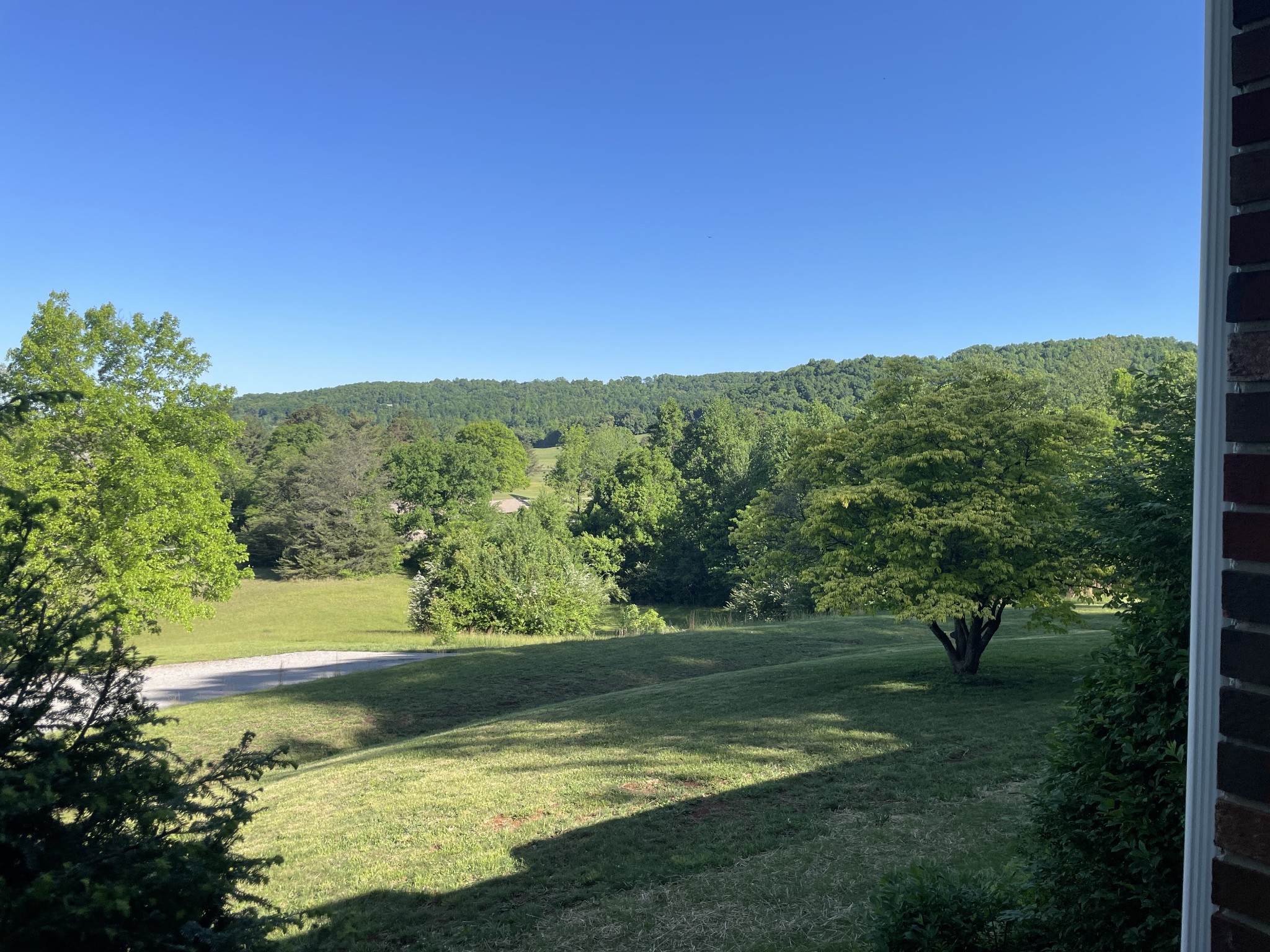 461 Baker Mountain Road Sparta, TN 38583 - Photo 40 of 43 a view of a yard with a large trees