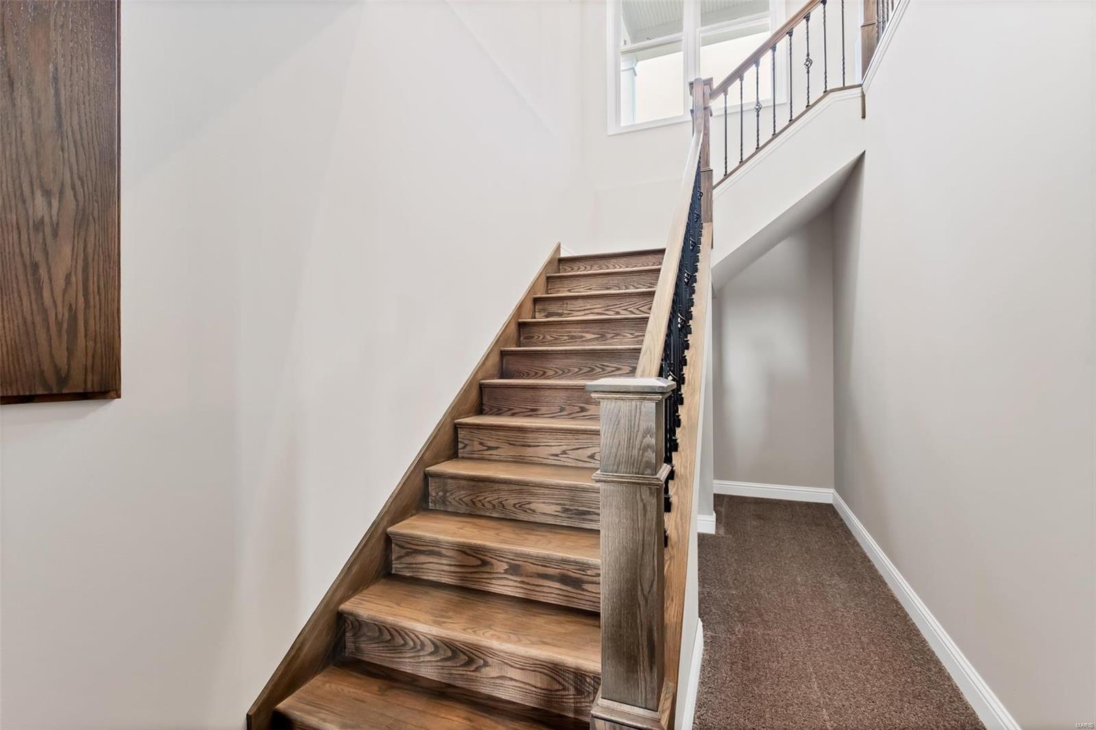 137 Riggs Street St. Charles, MO 63301 - Photo 28 of 53 Gallery Image 28