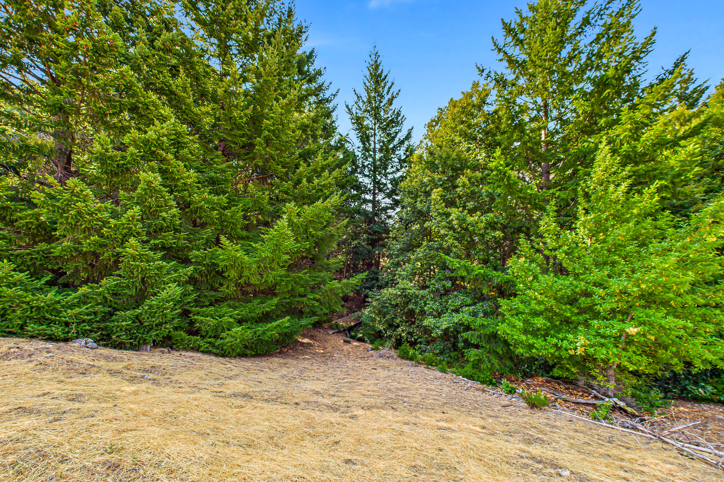26092 Dyerville Loop Road Garberville, CA 95542 - Photo 42 of 74