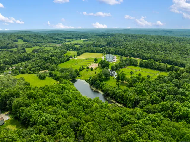 a view of a lush green forest with lots of trees