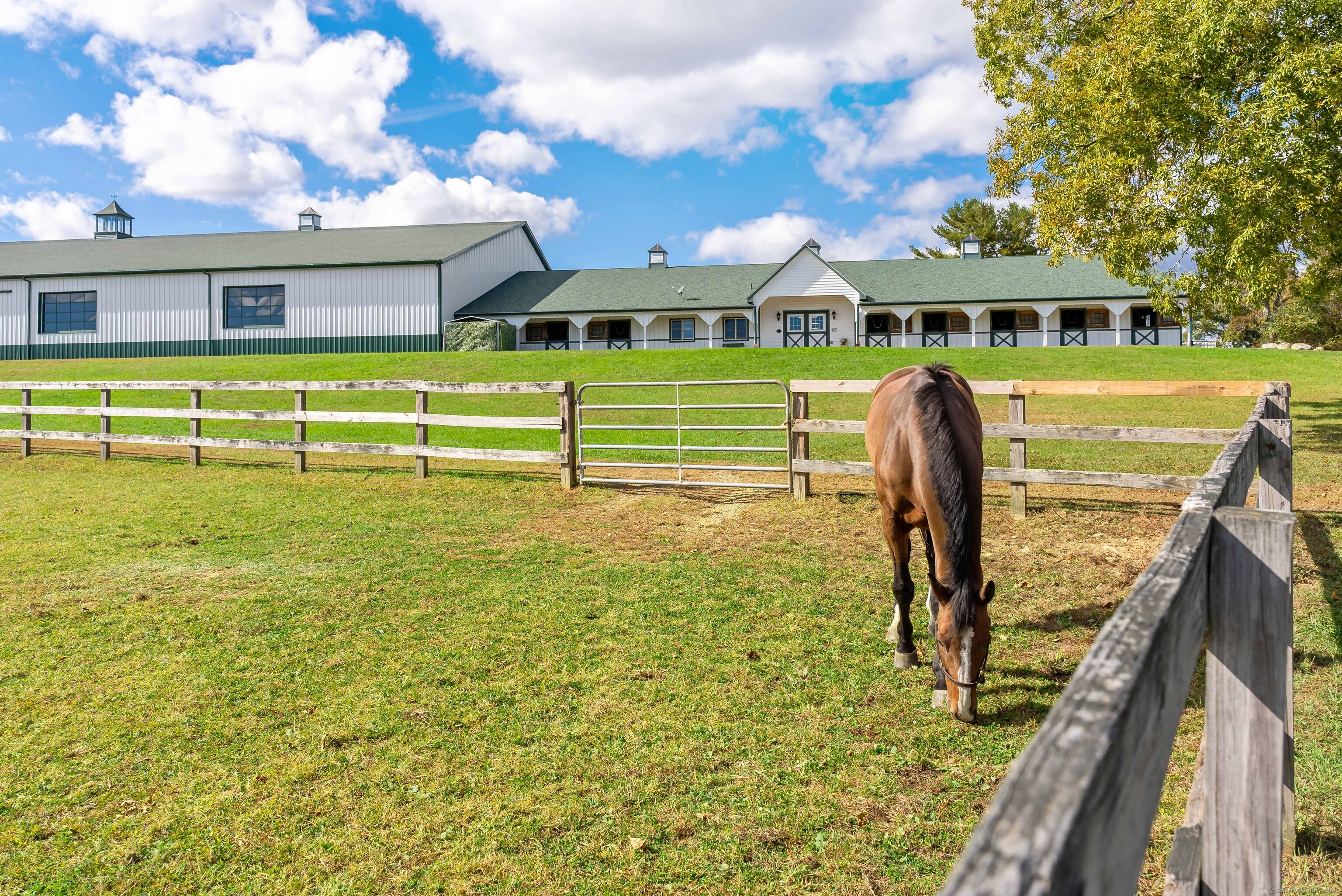 66-86 Bebbington Road Ashford, CT 06278 - Photo 37 of 39 a view of a swimming pool with a garden and plants