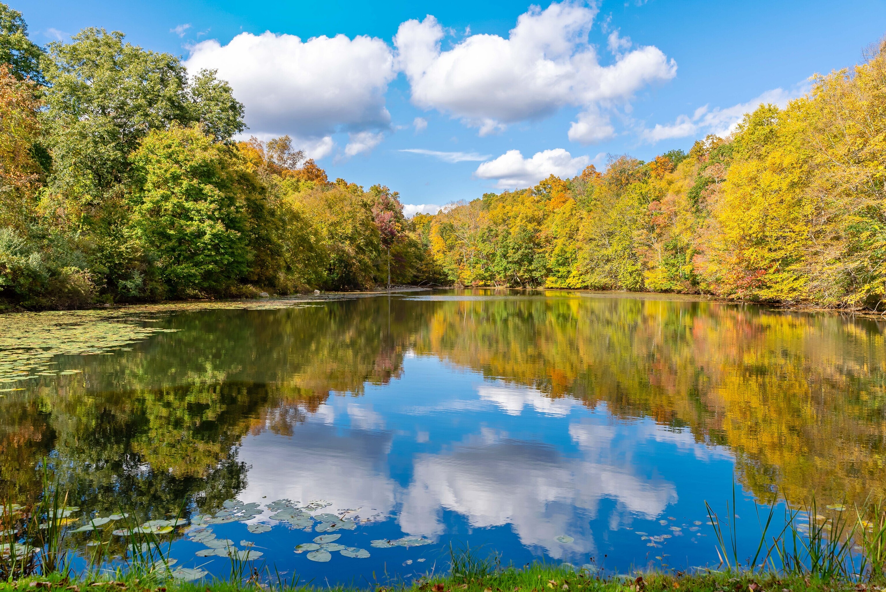 66-86 Bebbington Road Ashford, CT 06278 - Photo 38 of 39 a view of a lake in between the building