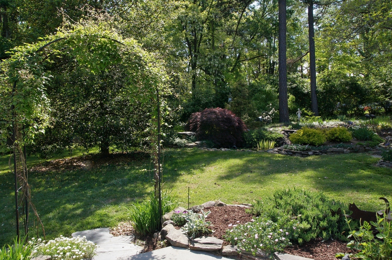 2205 Deyerle Road Southwest Roanoke, VA 24018 - Photo 68 of 103 dsc09060