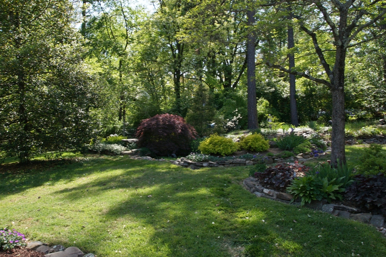 2205 Deyerle Road Southwest Roanoke, VA 24018 - Photo 69 of 103 dsc09062