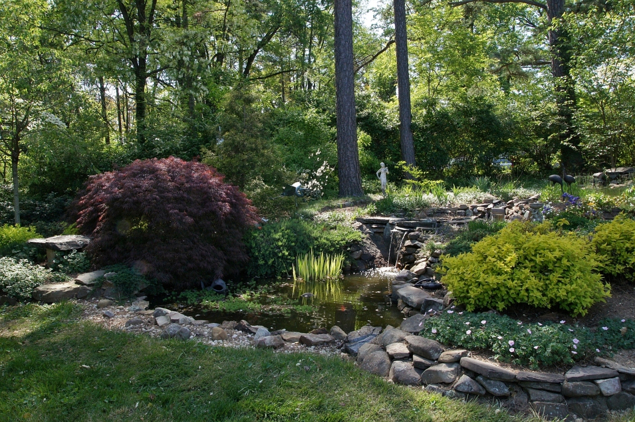 2205 Deyerle Road Southwest Roanoke, VA 24018 - Photo 70 of 103 dsc09064