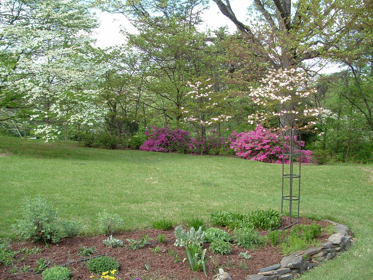 2205 Deyerle Road Southwest Roanoke, VA 24018 - Photo 8 of 103 back yard