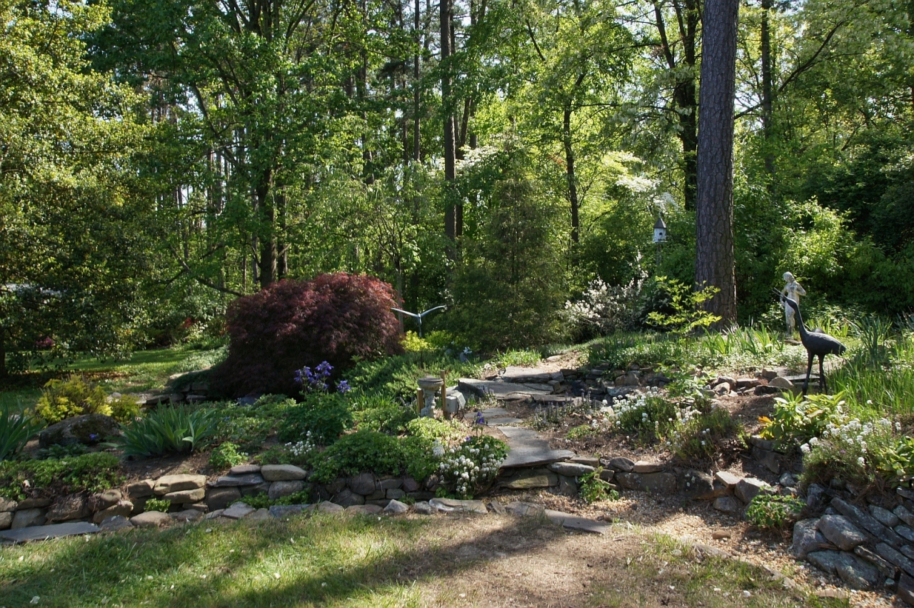 2205 Deyerle Road Southwest Roanoke, VA 24018 - Photo 72 of 103 dsc09067