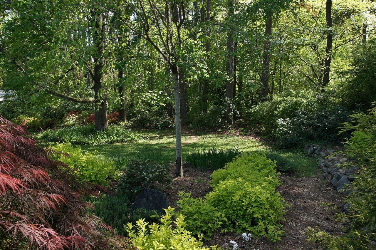 2205 Deyerle Road Southwest Roanoke, VA 24018 - Photo 75 of 103 dsc09071