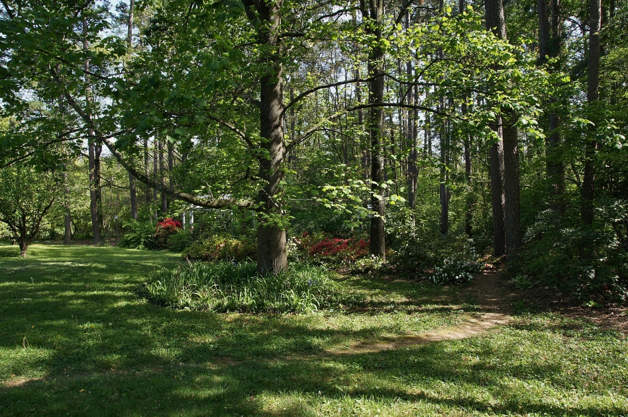 2205 Deyerle Road Southwest Roanoke, VA 24018 - Photo 76 of 103 dsc09072