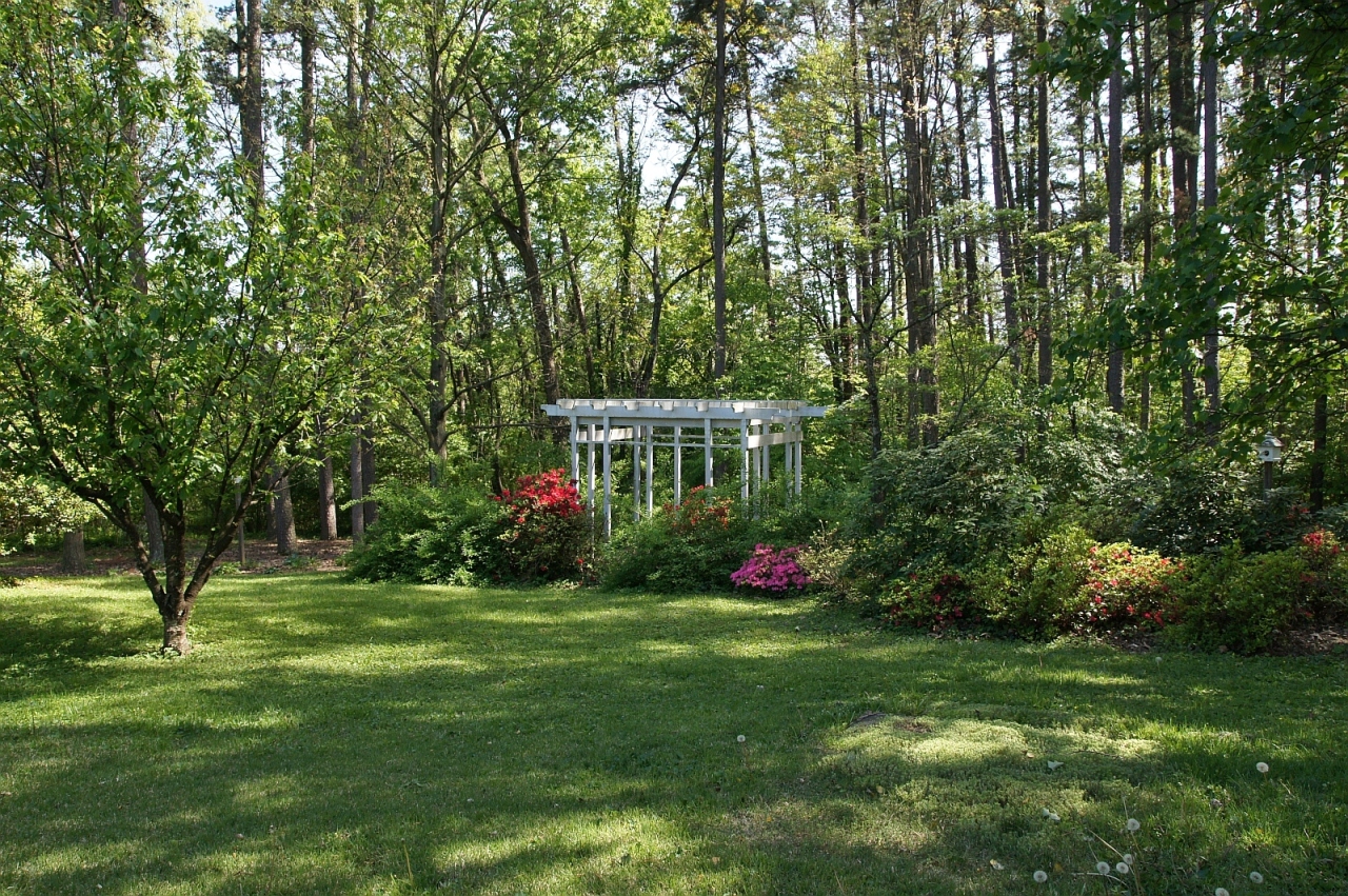 2205 Deyerle Road Southwest Roanoke, VA 24018 - Photo 79 of 103 dsc09076