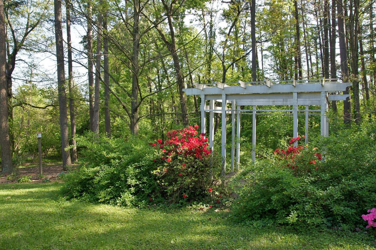 2205 Deyerle Road Southwest Roanoke, VA 24018 - Photo 80 of 103 dsc09077