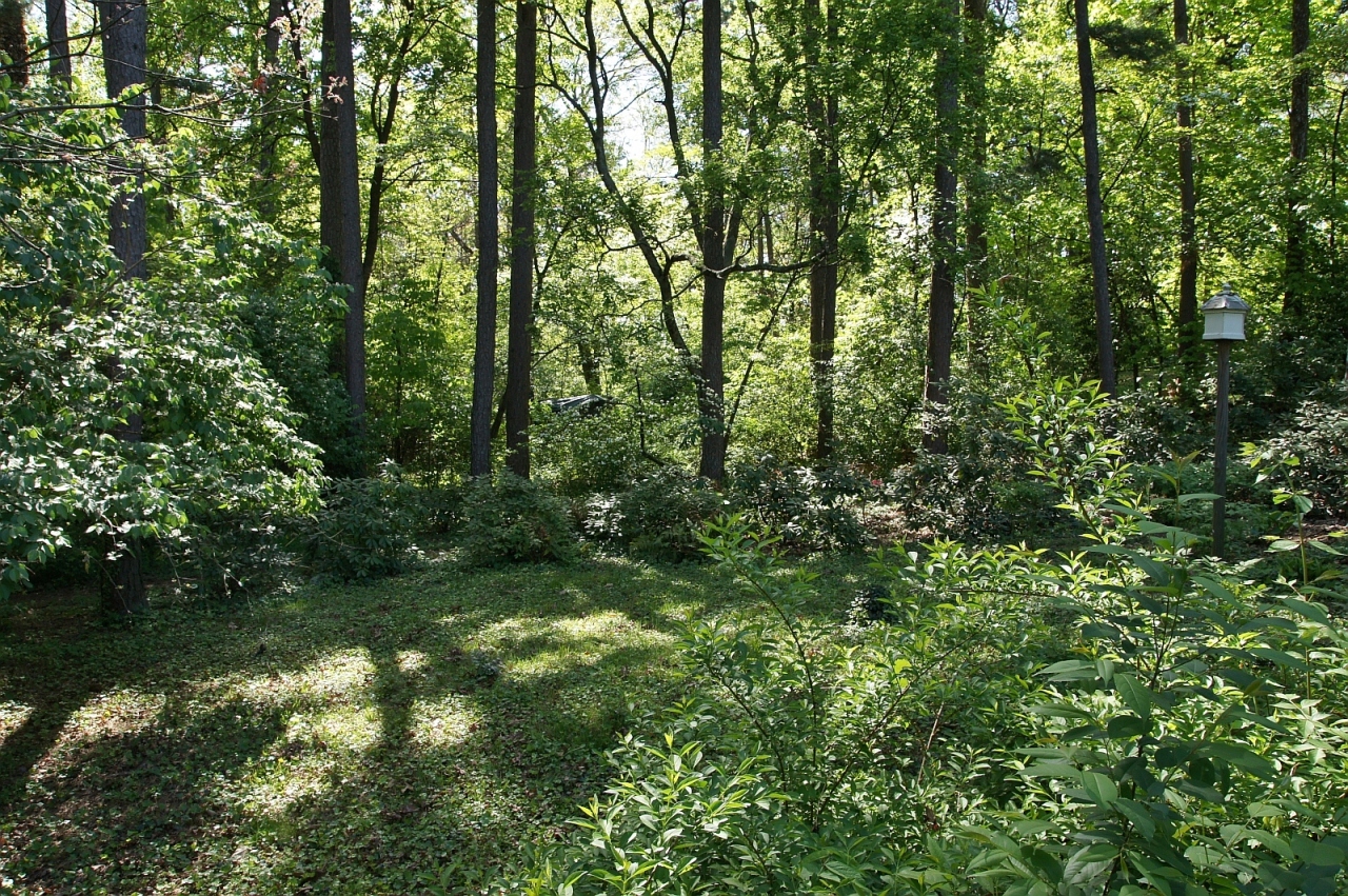 2205 Deyerle Road Southwest Roanoke, VA 24018 - Photo 82 of 103 dsc09079