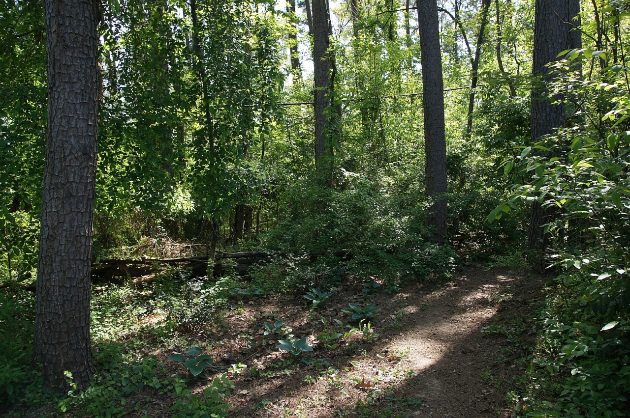 2205 Deyerle Road Southwest Roanoke, VA 24018 - Photo 85 of 103 dsc09083