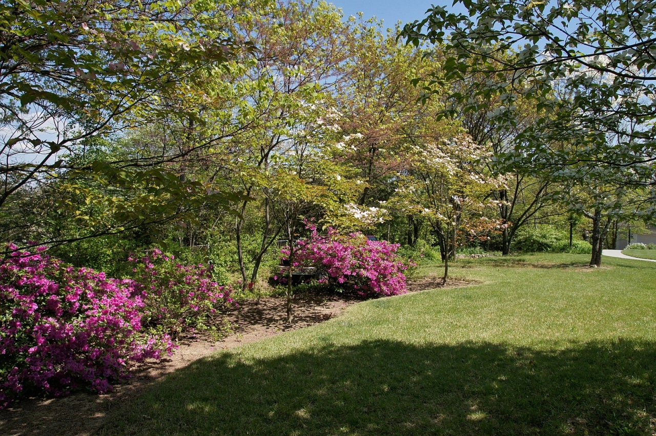 2205 Deyerle Road Southwest Roanoke, VA 24018 - Photo 100 of 103 u