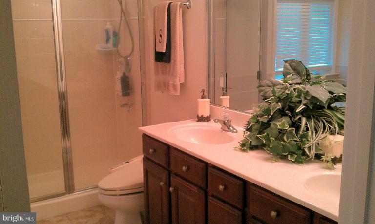 8123 Meetze Road Warrenton, VA 20187 - Photo 25 of 26 Bath (Master)