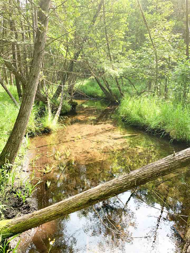 Tbd 7 Mile (86.47 Acres) Road Remus, MI 49340 - Photo 14 of 29