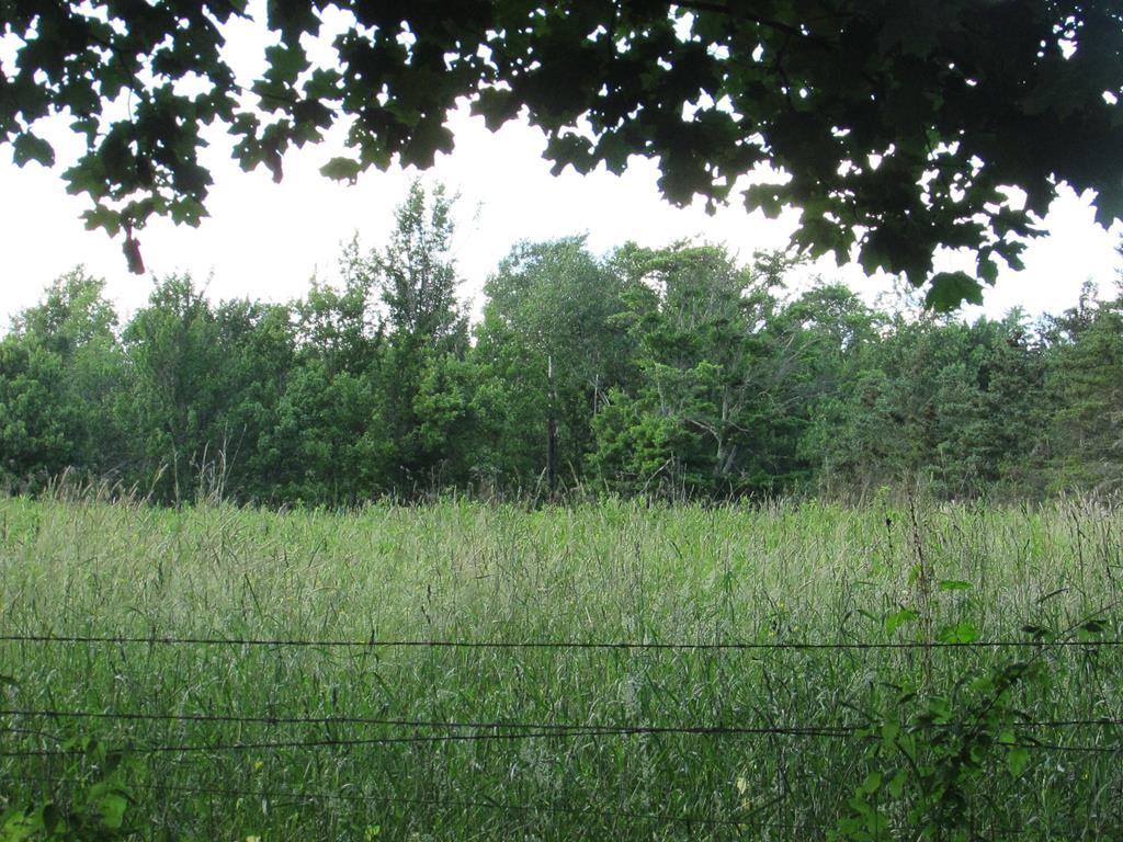 2373 Carter Road Montrose, PA 18801 - Photo 34 of 42 Gallery Image 34